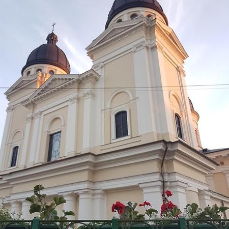 Old Town Apartments Lviv Bagian luar foto